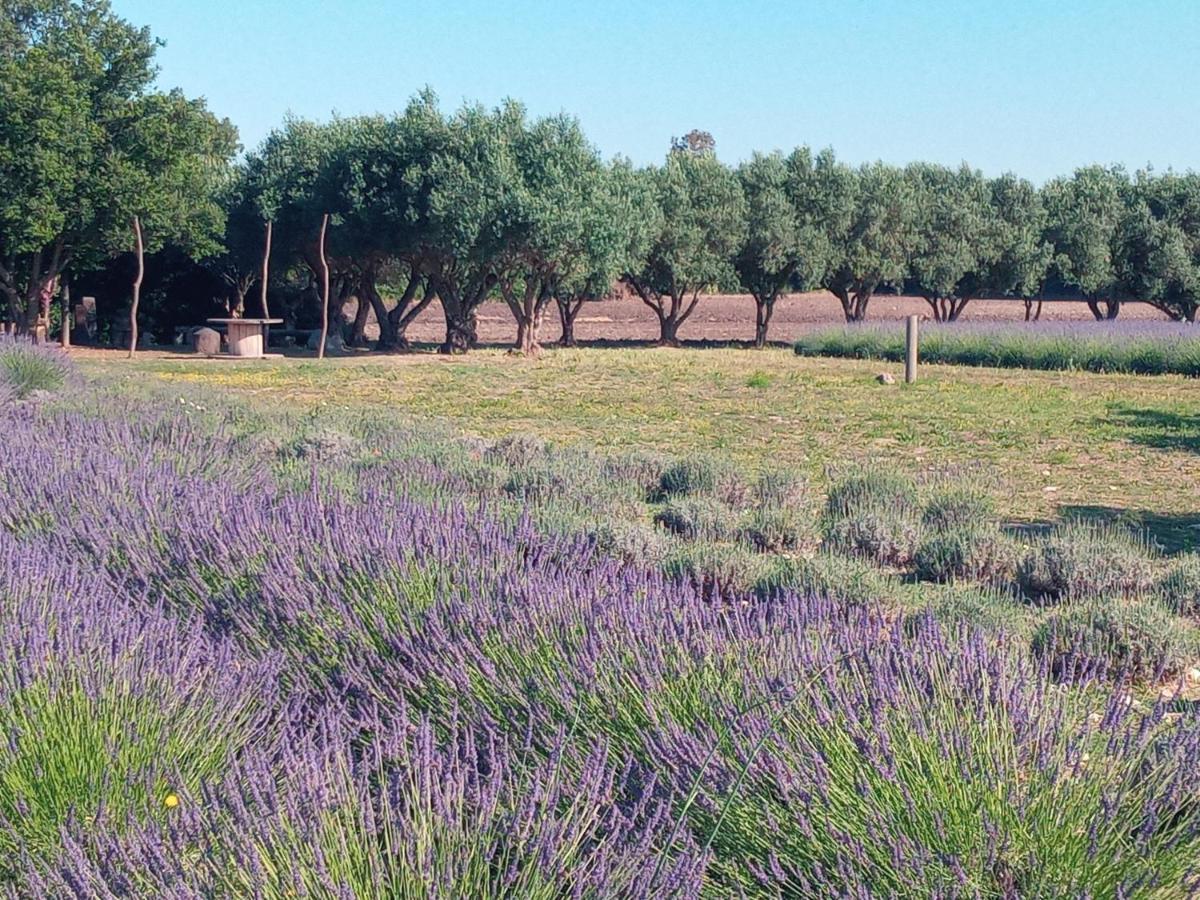 Agriturismo Il Melograno Riola Sardo Luaran gambar