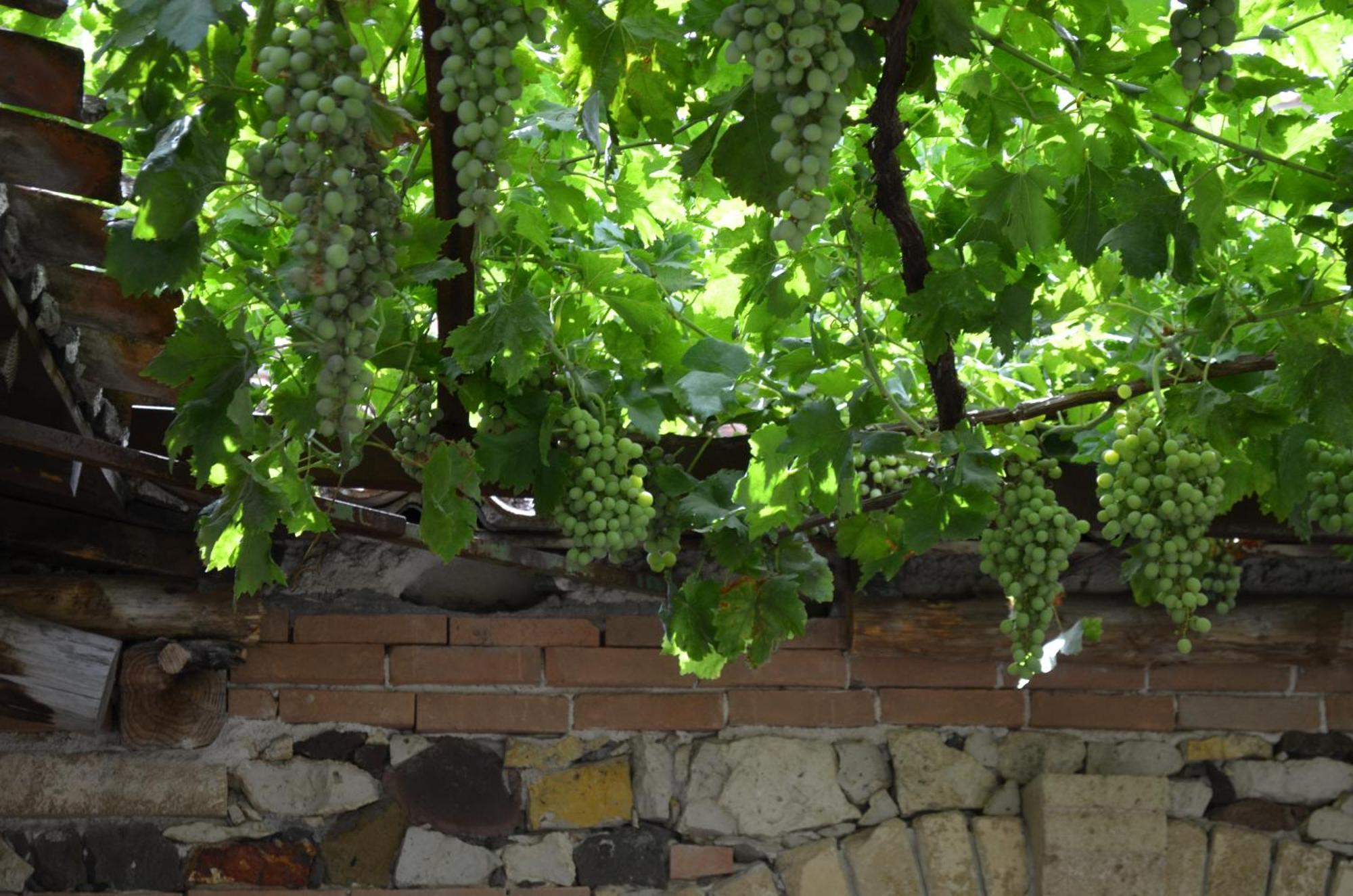 Agriturismo Il Melograno Riola Sardo Luaran gambar