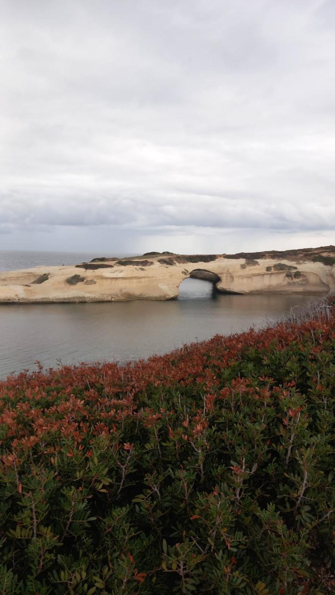 Agriturismo Il Melograno Riola Sardo Luaran gambar
