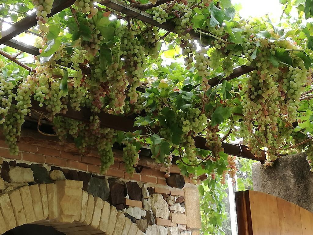 Agriturismo Il Melograno Riola Sardo Luaran gambar