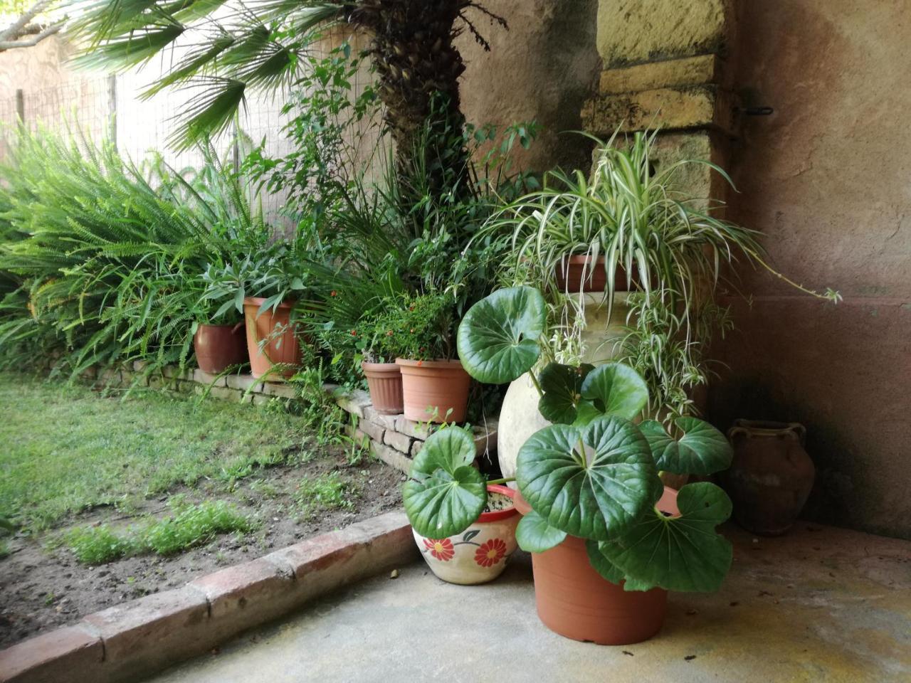 Agriturismo Il Melograno Riola Sardo Luaran gambar