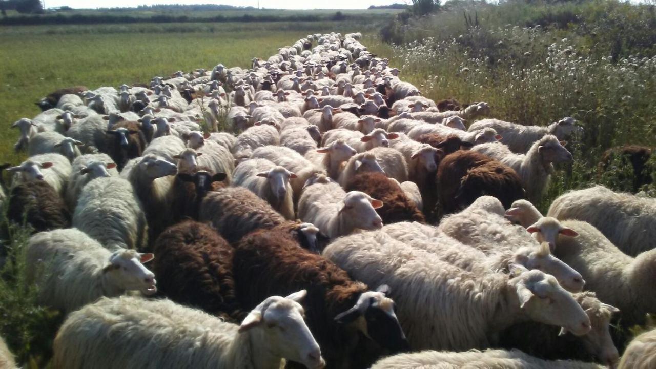 Agriturismo Il Melograno Riola Sardo Luaran gambar